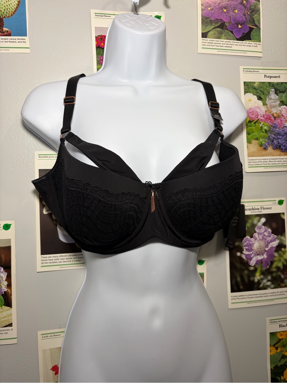 Ashley Graham Black Lace Underwire Bra